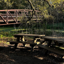 Saturday Morning Meditation in Couturie Forest