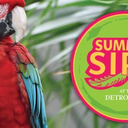 Summer Sips at the Detroit Zoo