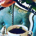 Bingo and tea at coterie tea and eatery