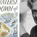 Watership Down by Richard Adams