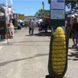Corn Fest in Camp Verde