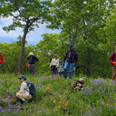 Ecological Restoration at Illinois Beach State Park