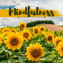 Intermediate Zen Meditation