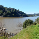 Lake Chabot Walk