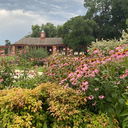 Gardening in Oak Cliff Parks