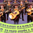 Discover the Music of Mariachi-Free