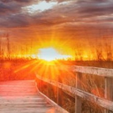 Sunset TLC Walk