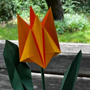 7/18 Origami Tulips by Nicol Fuller