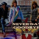 NEVER SAY GOODBYE / BON JOVI TRIBUTE / BROOKDALE PARK / Bloomfield