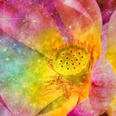Friday’s Sound of Soul Abundance Flourishes in a Grateful Heart