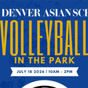 Volleyball In The Park