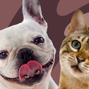 Paint Your Pet
