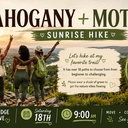 💛 Climb & Connect Hike @ Cedar Ridge Preserve