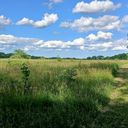 Summer Hike at Beverly Lake