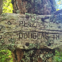 Salmon-Huckleberry Wilderness Part 3: Huckleberry Mountain - not the usual way