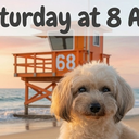 Early Morning Dog-Friendly Beach Walk at Tower 68 -- Newport Beach