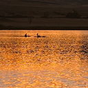 🛶FRIDAY JULY 17 🌅 Sunset Kayak/Paddleboard Chatfield Gravel Pond 7:00/7:30pm