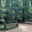 Christian Singles hike — Zinfandel Trail