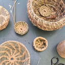 Pine Needle Weaving & Nature Bathing at Kate Sessions Park