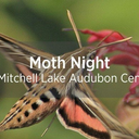 Moth Night at Mitchell Lake Audubon Center