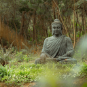 Guided Meditation, Dharma Talk & Reflection - Saturday Sangha