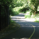 Des Moines Creek Trail Walk