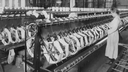 Fireside Fridays: Paterson Silk Strikes