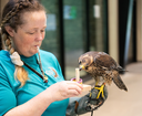 Celebrate National Zookeeper Week (July 19, 2026)