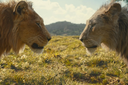 Free Movie: Mufasa: The Lion King
