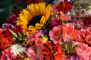 Kent Farmers Market