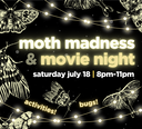 Moth Madness & Movie Night