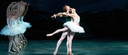 Swan Lake - ABT
