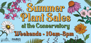 Summer Plant Sales at the Conservatory